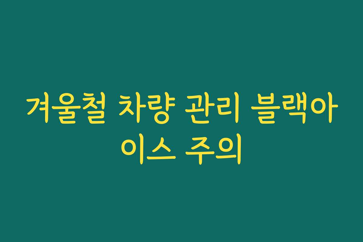 겨울철 차량 관리 블랙아이스 주의