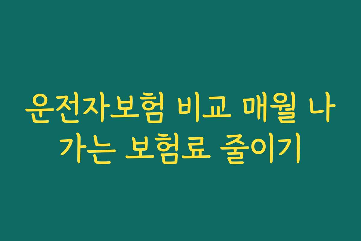 운전자보험 비교 매월 나가는 보험료 줄이기