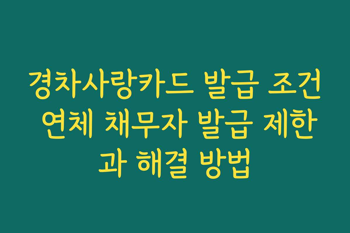 경차사랑카드 발급 조건 연체 채무자 발급 제한과 해결 방법