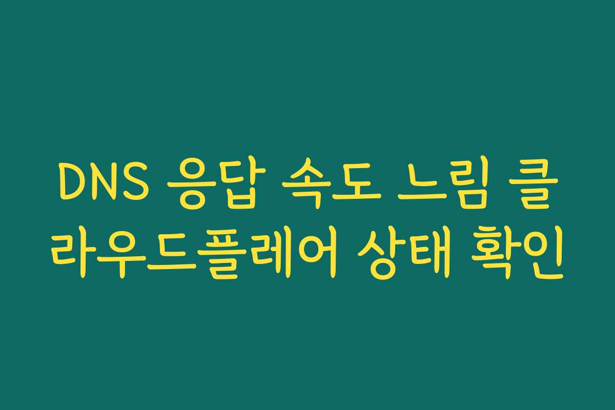DNS 응답 속도 느림 클라우드플레어 상태 확인