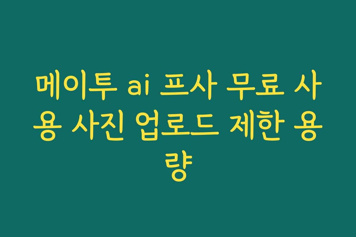 메이투 ai 프사 무료 사용 사진 업로드 제한 용량