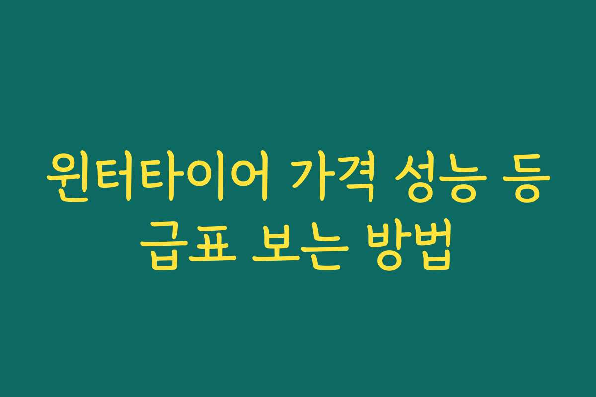 윈터타이어 가격 성능 등급표 보는 방법