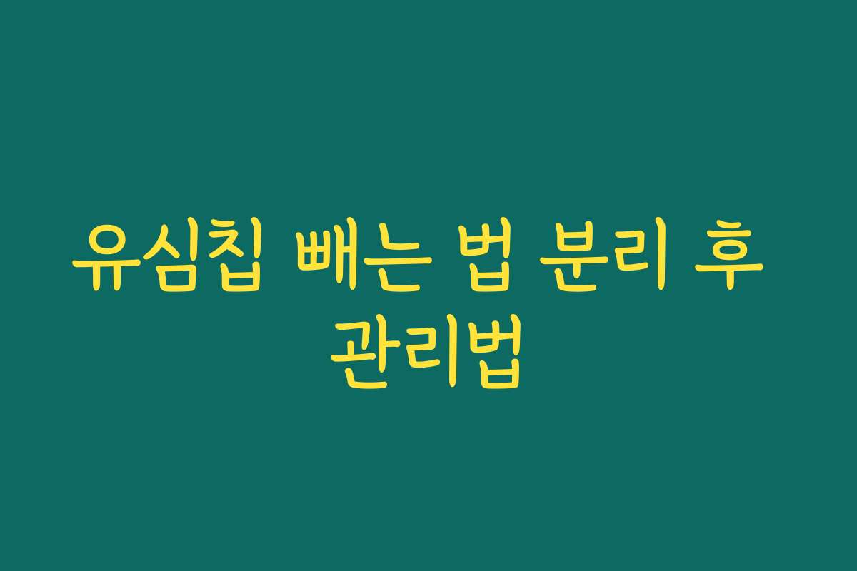 유심칩 빼는 법 분리 후 관리법