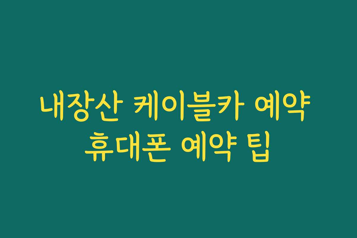 내장산 케이블카 예약 휴대폰 예약 팁
