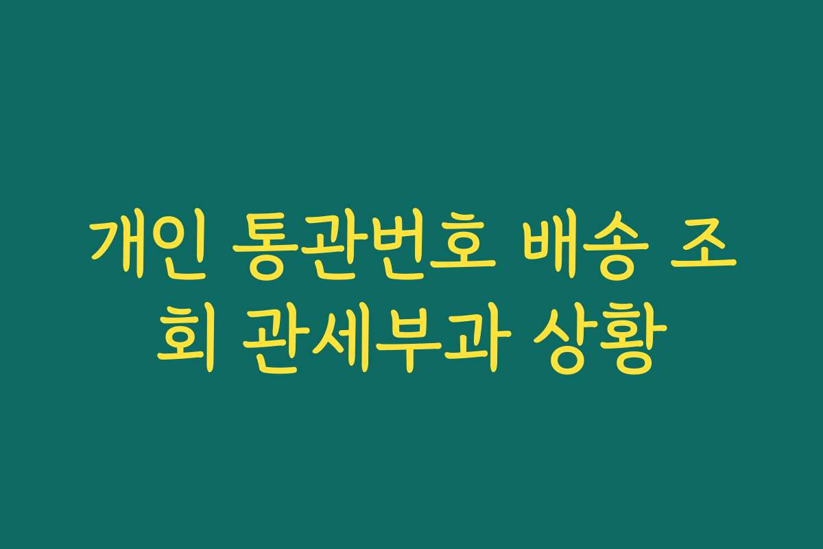 개인 통관번호 배송 조회 관세부과 상황