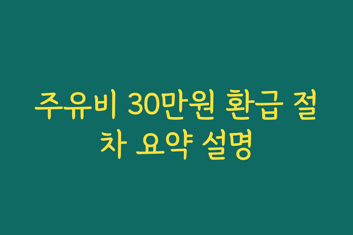 주유비 30만원 환급 절차 요약 설명