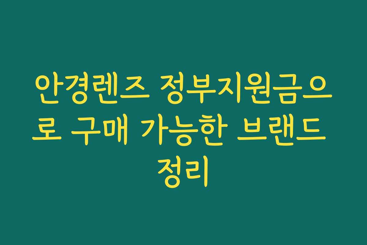 안경렌즈 정부지원금으로 구매 가능한 브랜드 정리