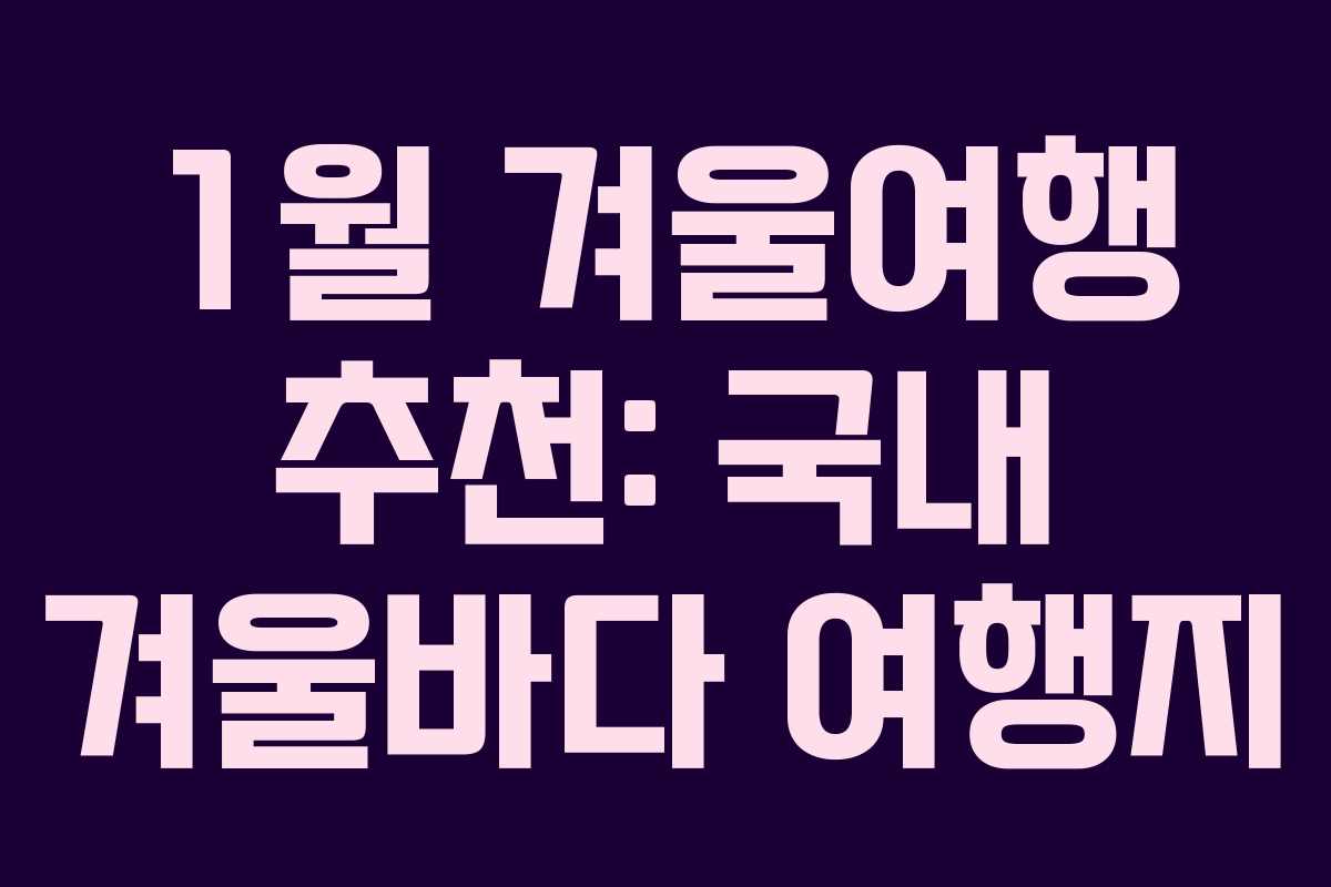 1월 겨울여행 추천: 국내 겨울바다 여행지