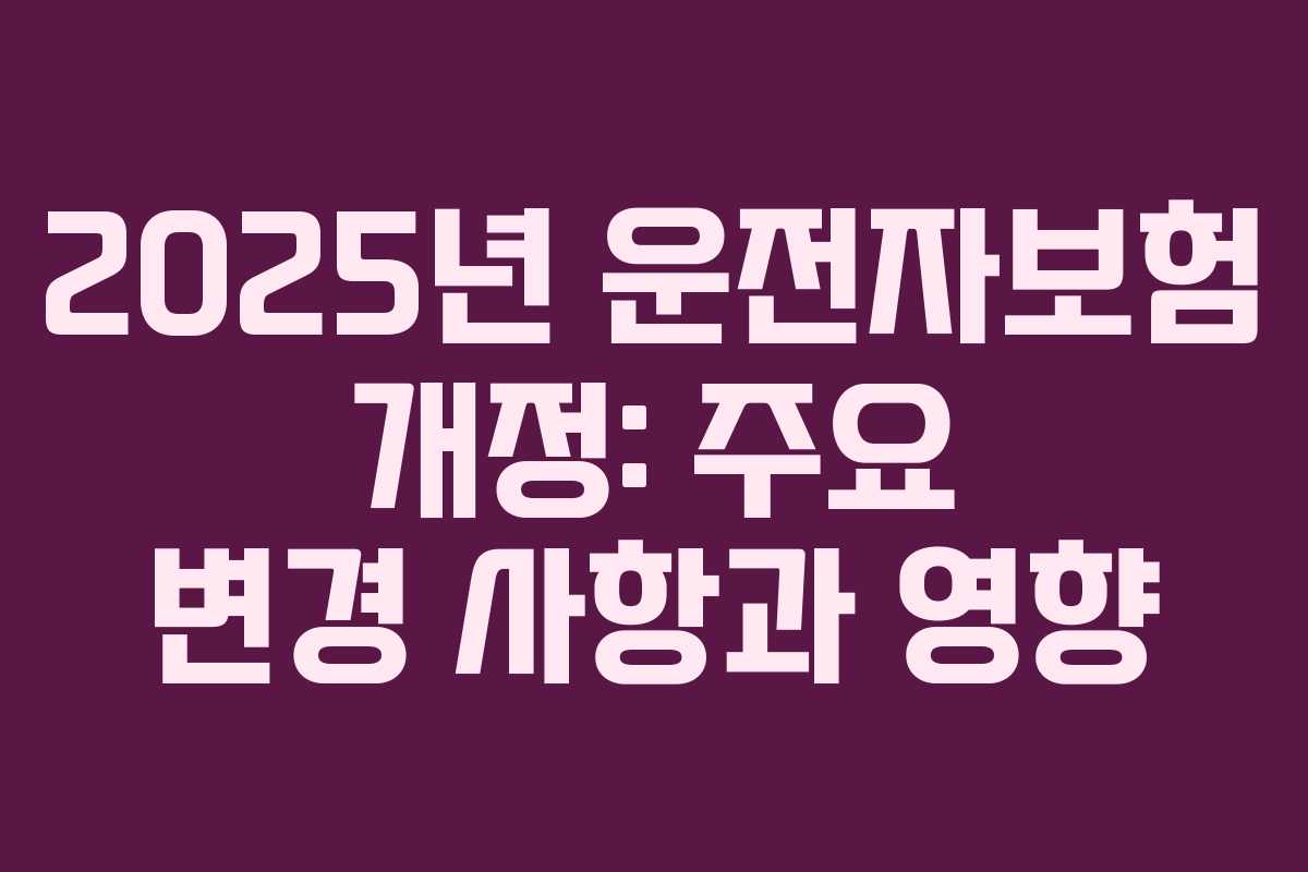 2025년 운전자보험 개정: 주요 변경 사항과 영향