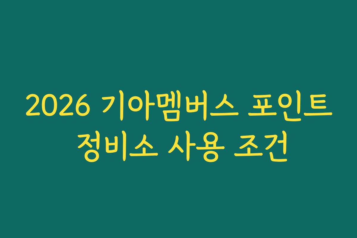 2026 기아멤버스 포인트 정비소 사용 조건