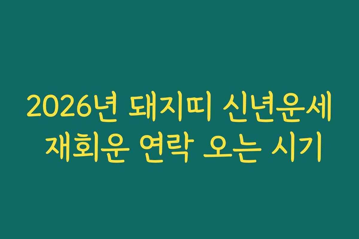 2026년 돼지띠 신년운세 재회운 연락 오는 시기