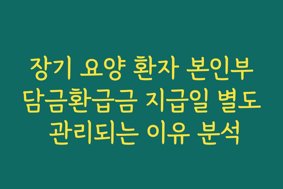 장기 요양 환자 본인부담금환급금 지급일 별도 관리되는 이유 분석
