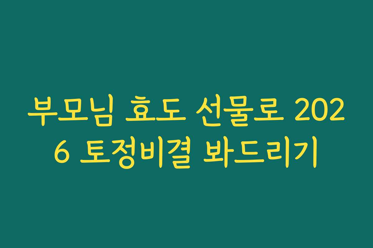 부모님 효도 선물로 2026 토정비결 봐드리기