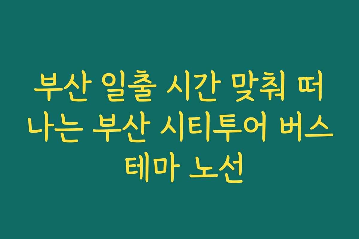 부산 일출 시간 맞춰 떠나는 부산 시티투어 버스 테마 노선