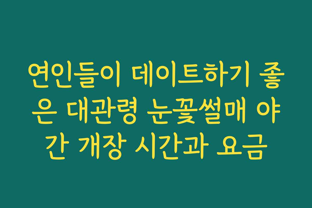 연인들이 데이트하기 좋은 대관령 눈꽃썰매 야간 개장 시간과 요금