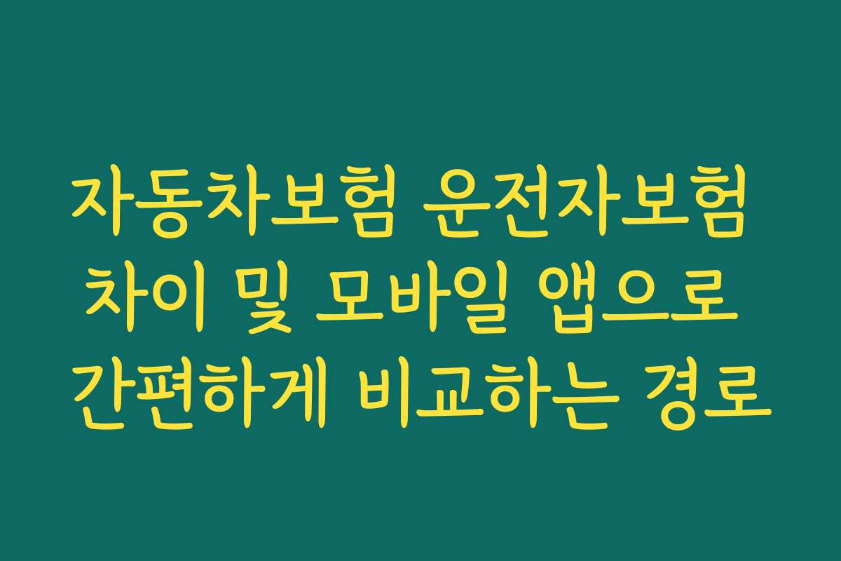 자동차보험 운전자보험 차이 및 모바일 앱으로 간편하게 비교하는 경로