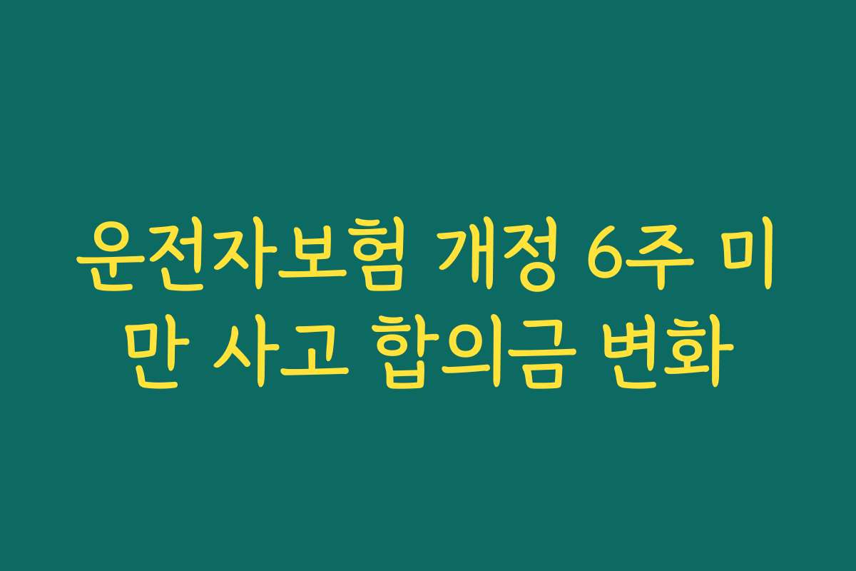 운전자보험 개정 6주 미만 사고 합의금 변화