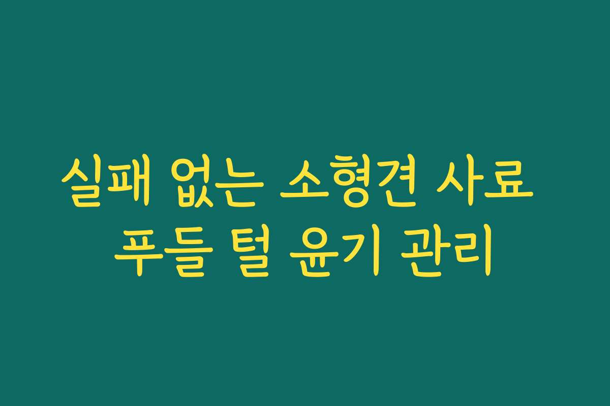 실패 없는 소형견 사료 푸들 털 윤기 관리