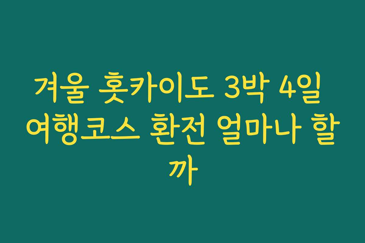 겨울 홋카이도 3박 4일 여행코스 환전 얼마나 할까