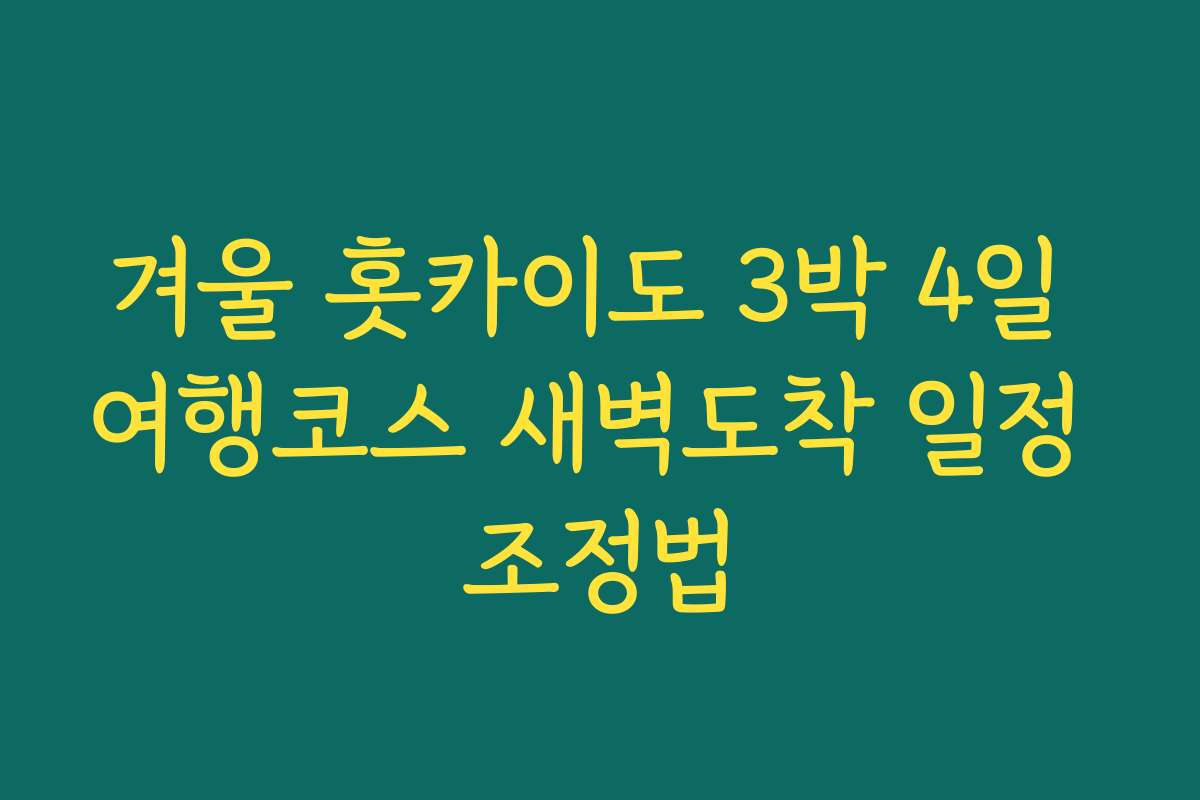 겨울 홋카이도 3박 4일 여행코스 새벽도착 일정 조정법