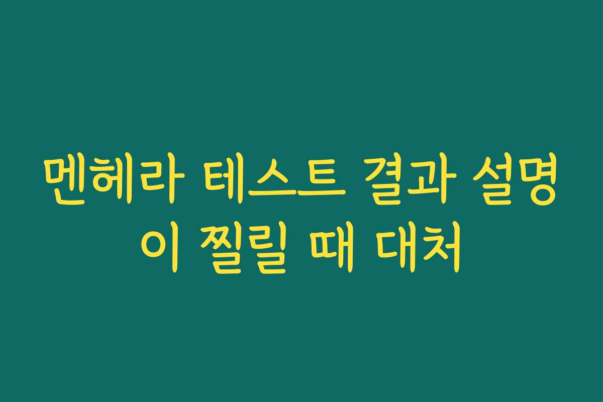 멘헤라 테스트 결과 설명이 찔릴 때 대처