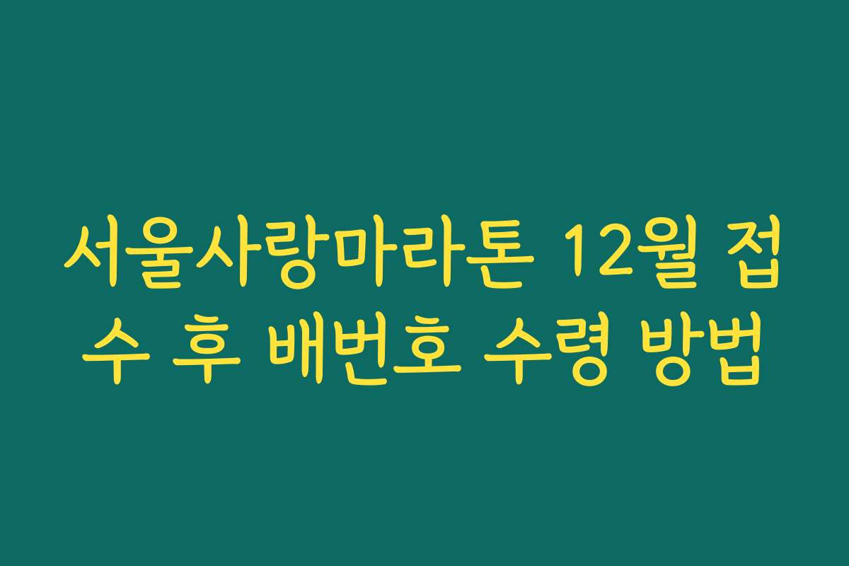 서울사랑마라톤 12월 접수 후 배번호 수령 방법