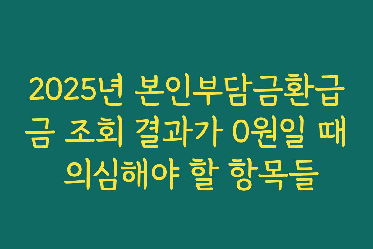 2025년 본인부담금환급금 조회 결과가 0원일 때 의심해야 할 항목들