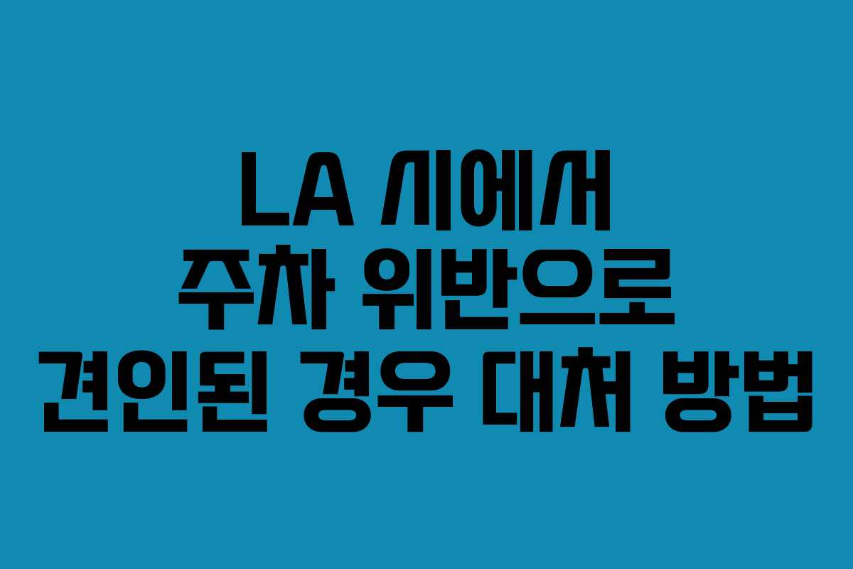LA 시에서 주차 위반으로 견인된 경우 대처 방법