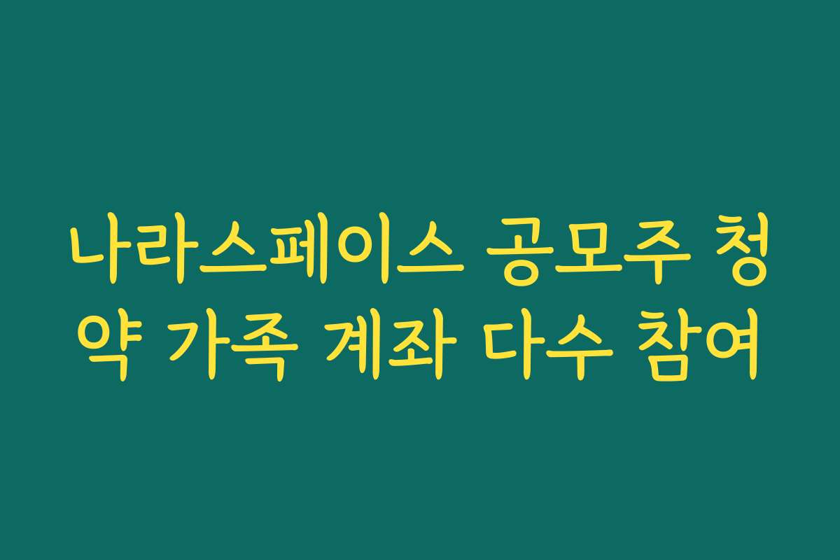 나라스페이스 공모주 청약 가족 계좌 다수 참여