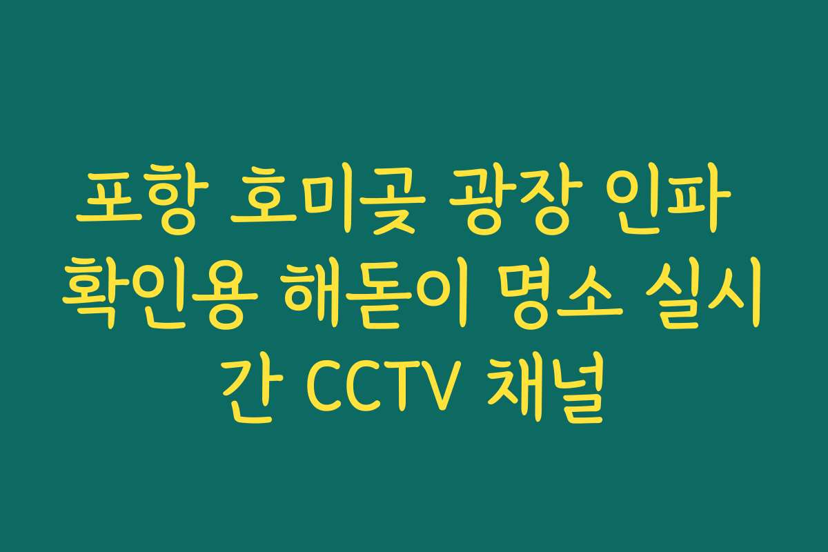 포항 호미곶 광장 인파 확인용 해돋이 명소 실시간 CCTV 채널