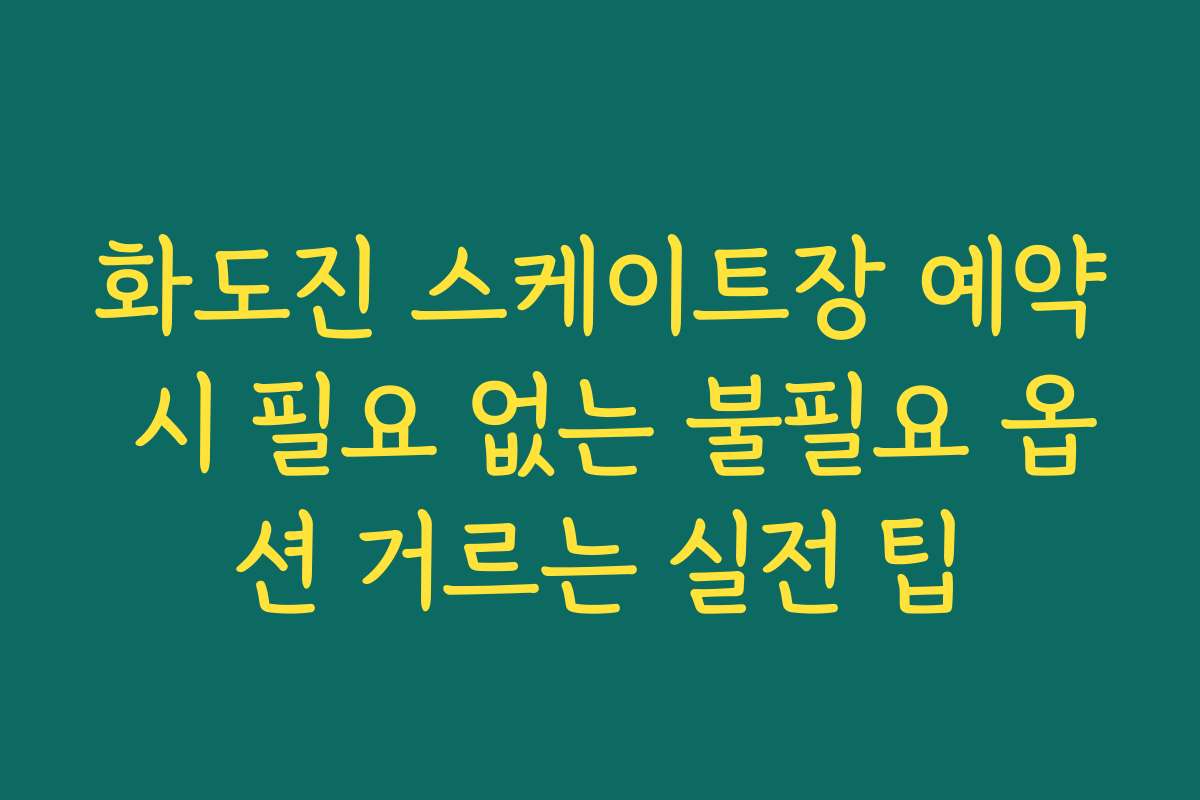 화도진 스케이트장 예약 시 필요 없는 불필요 옵션 거르는 실전 팁