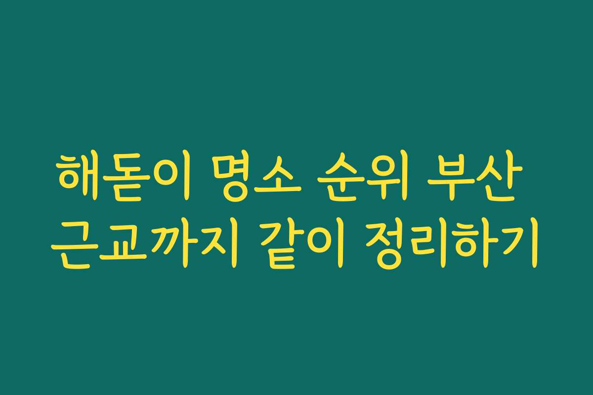 해돋이 명소 순위 부산 근교까지 같이 정리하기