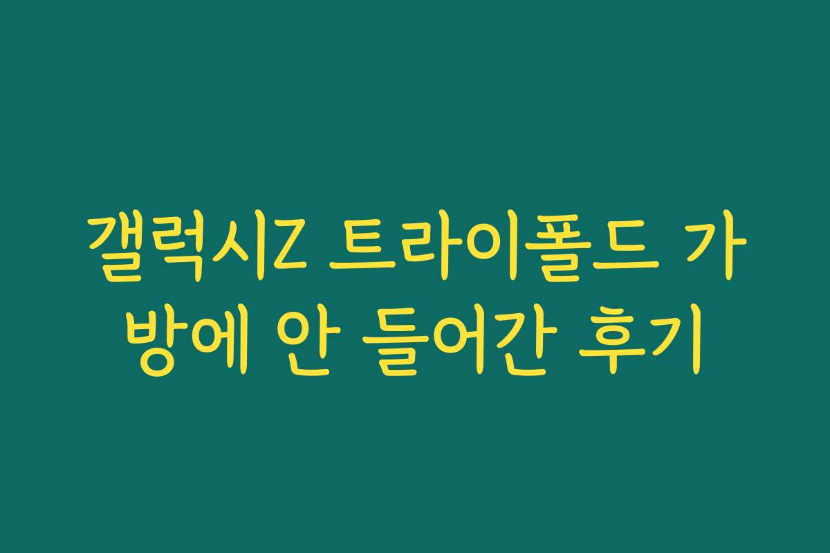 갤럭시Z 트라이폴드 가방에 안 들어간 후기
