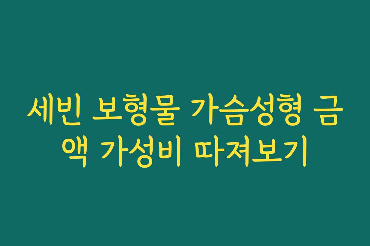 세빈 보형물 가슴성형 금액 가성비 따져보기