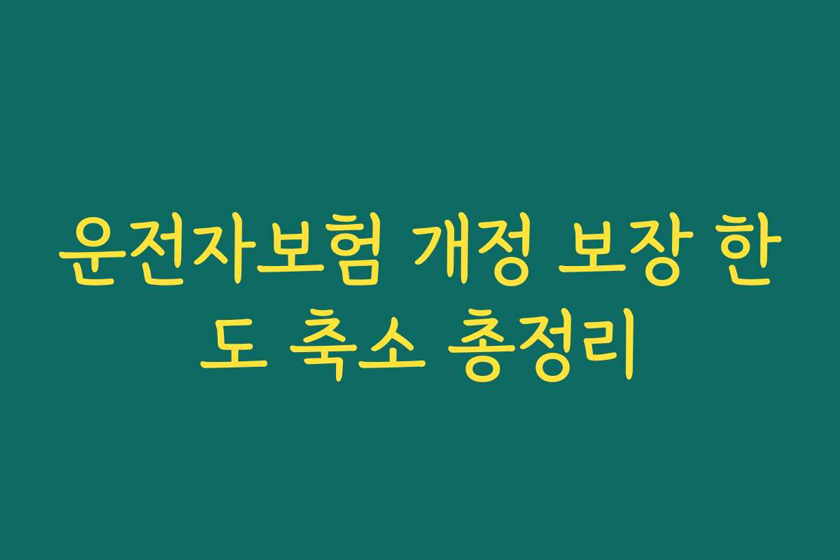 운전자보험 개정 보장 한도 축소 총정리
