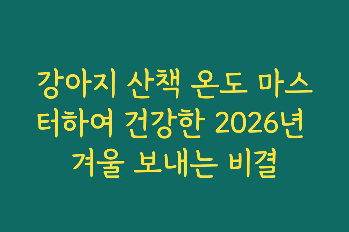 강아지 산책 온도 마스터하여 건강한 2026년 겨울 보내는 비결
