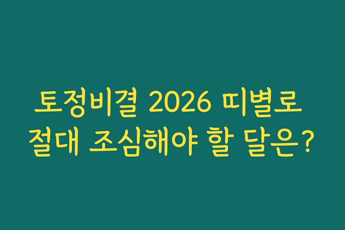 토정비결 2026 띠별로 절대 조심해야 할 달은?