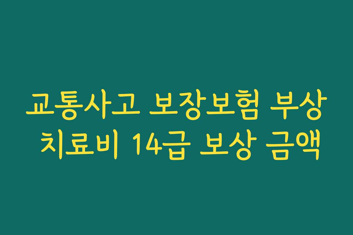 교통사고 보장보험 부상 치료비 14급 보상 금액