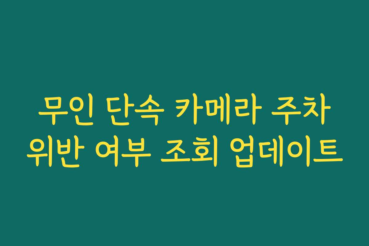 무인 단속 카메라 주차위반 여부 조회 업데이트
