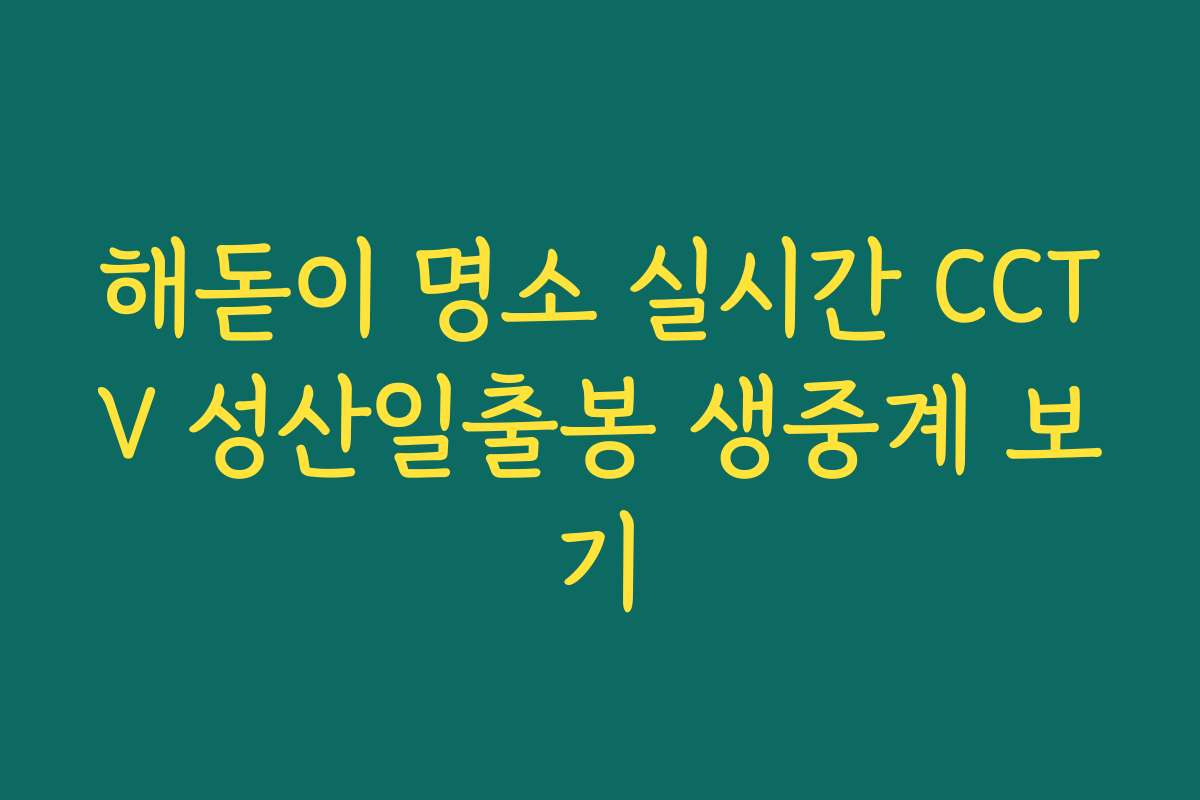 해돋이 명소 실시간 CCTV 성산일출봉 생중계 보기
