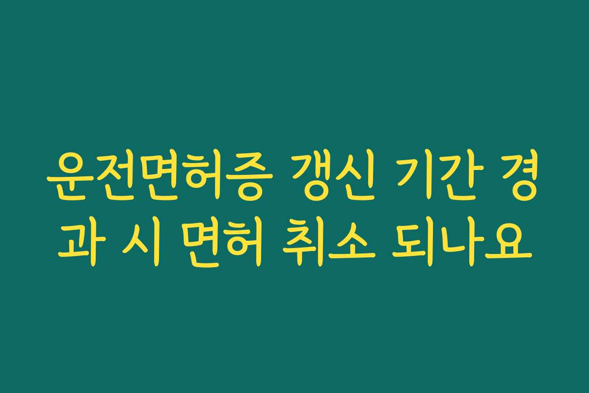 운전면허증 갱신 기간 경과 시 면허 취소 되나요
