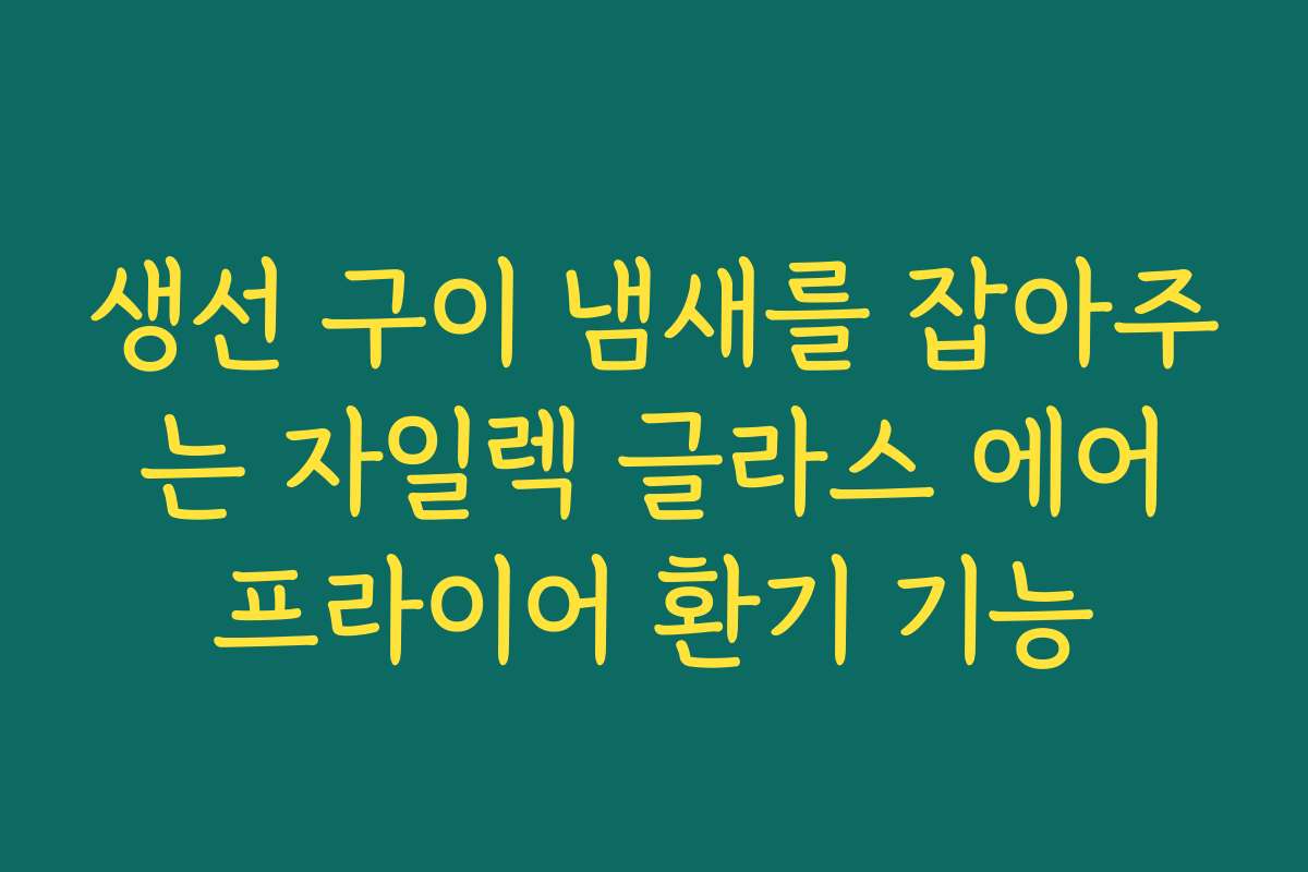 생선 구이 냄새를 잡아주는 자일렉 글라스 에어프라이어 환기 기능