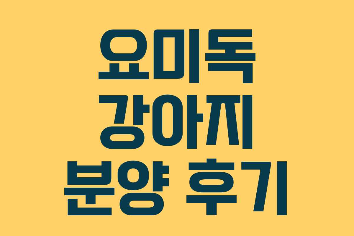 요미독 강아지 분양 후기