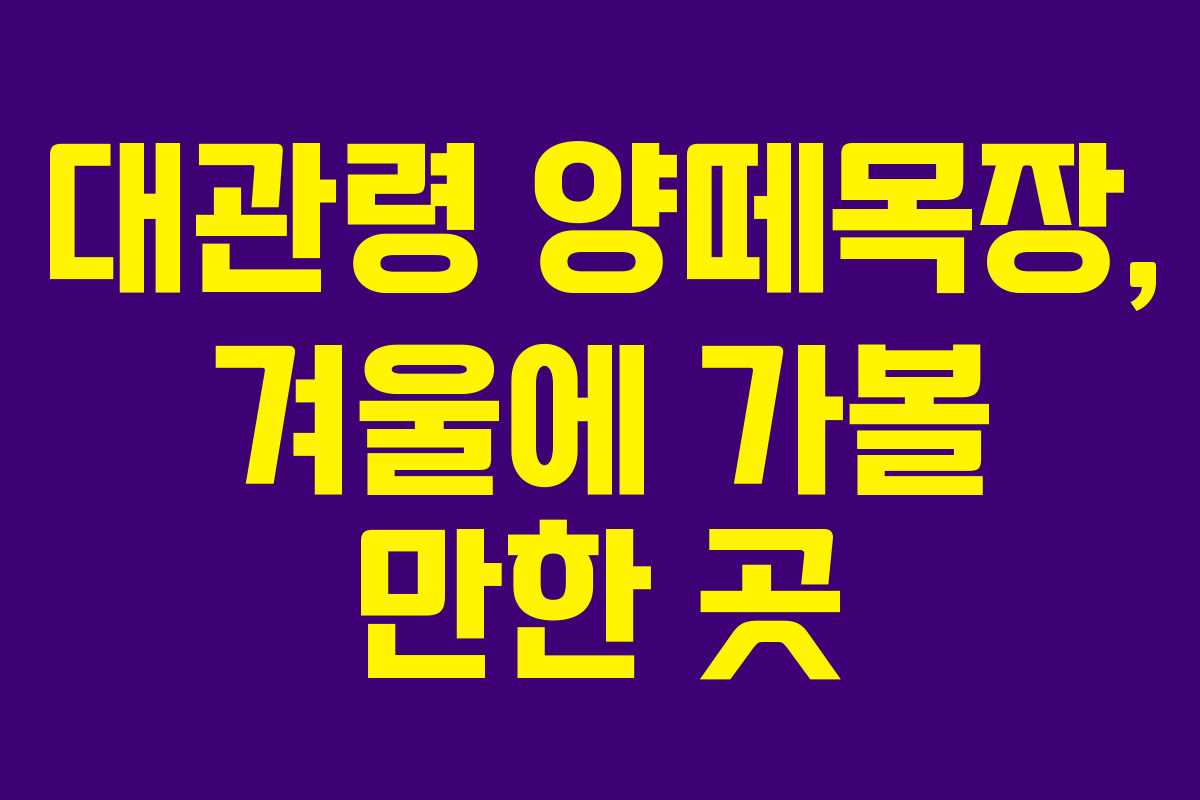 대관령 양떼목장, 겨울에 가볼 만한 곳