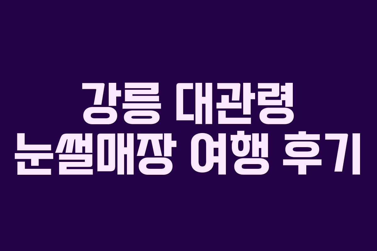 강릉 대관령 눈썰매장 여행 후기