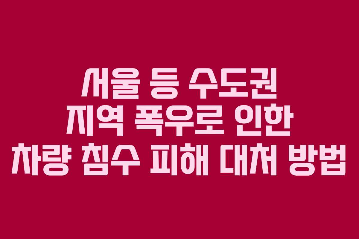 서울 등 수도권 지역 폭우로 인한 차량 침수 피해 대처 방법