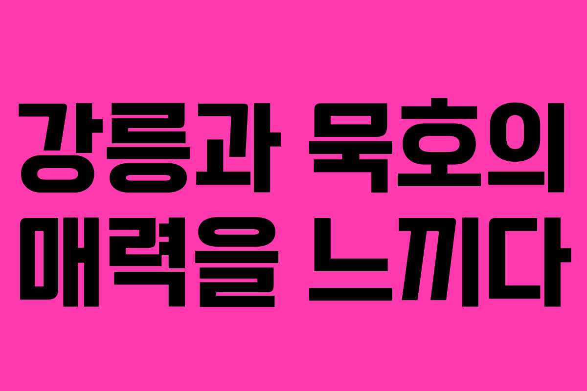 강릉과 묵호의 매력을 느끼다