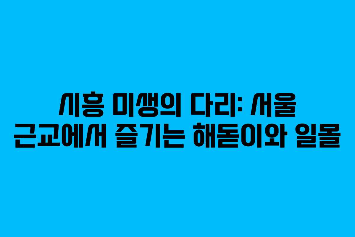 시흥 미생의 다리: 서울 근교에서 즐기는 해돋이와 일몰