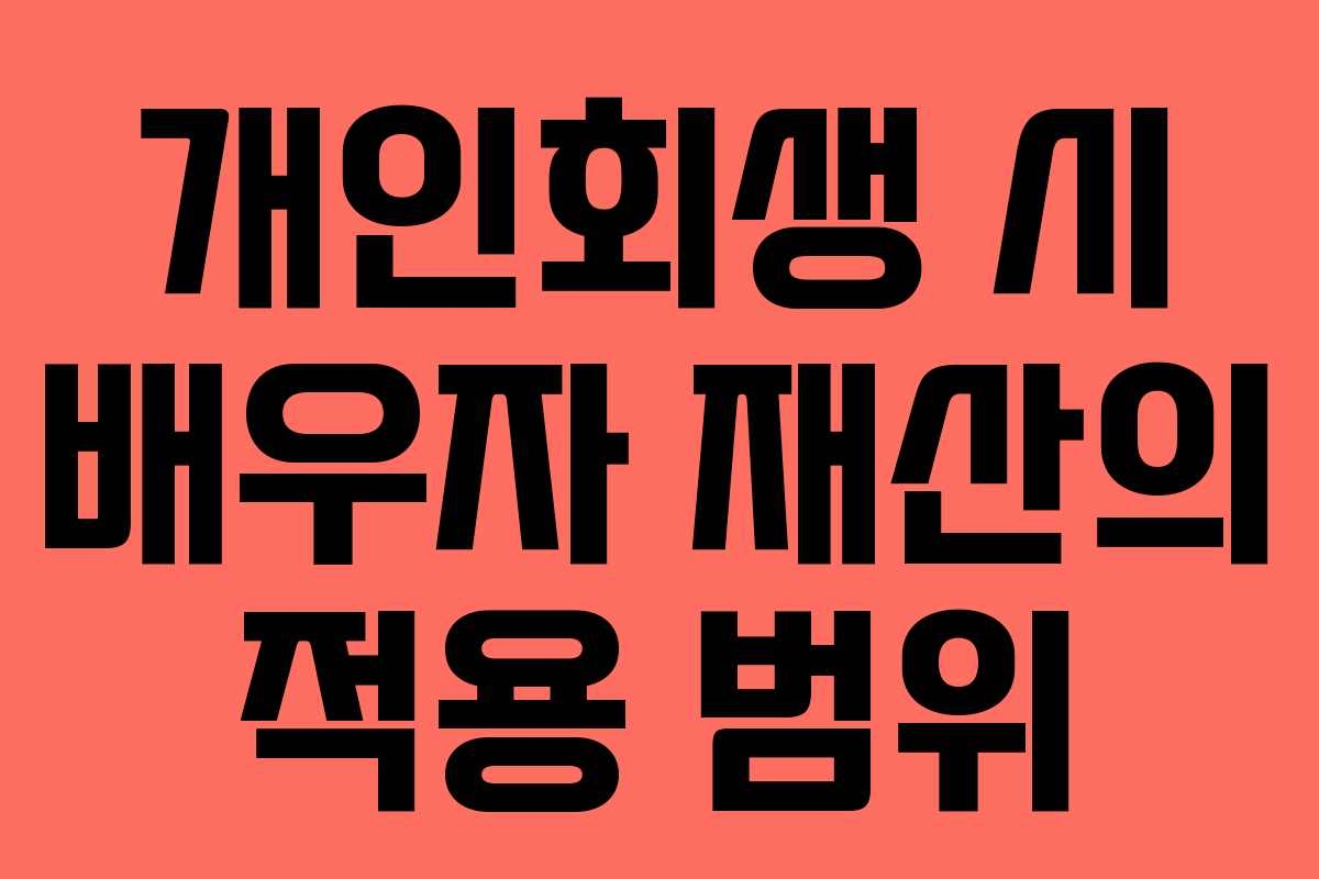 개인회생 시 배우자 재산의 적용 범위