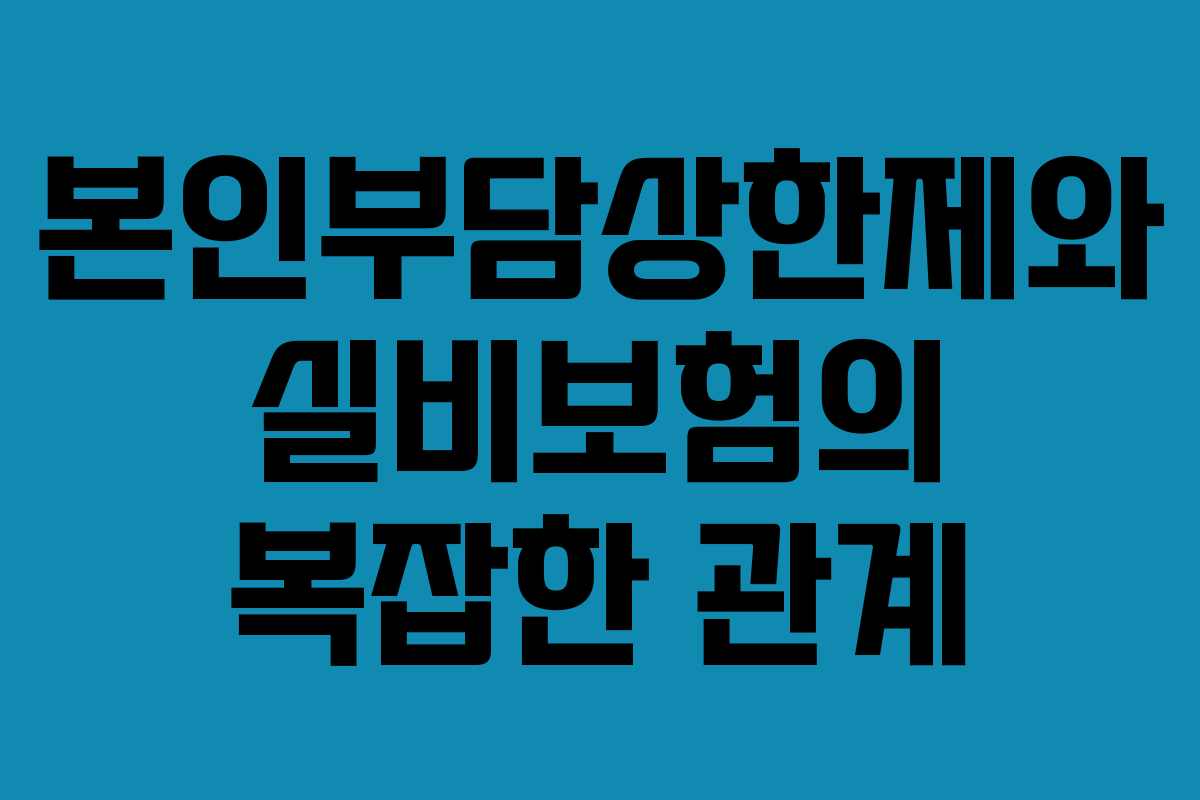 본인부담상한제와 실비보험의 복잡한 관계
